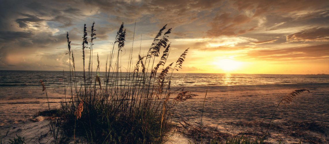 Captiva Island Will Capture Your Senses